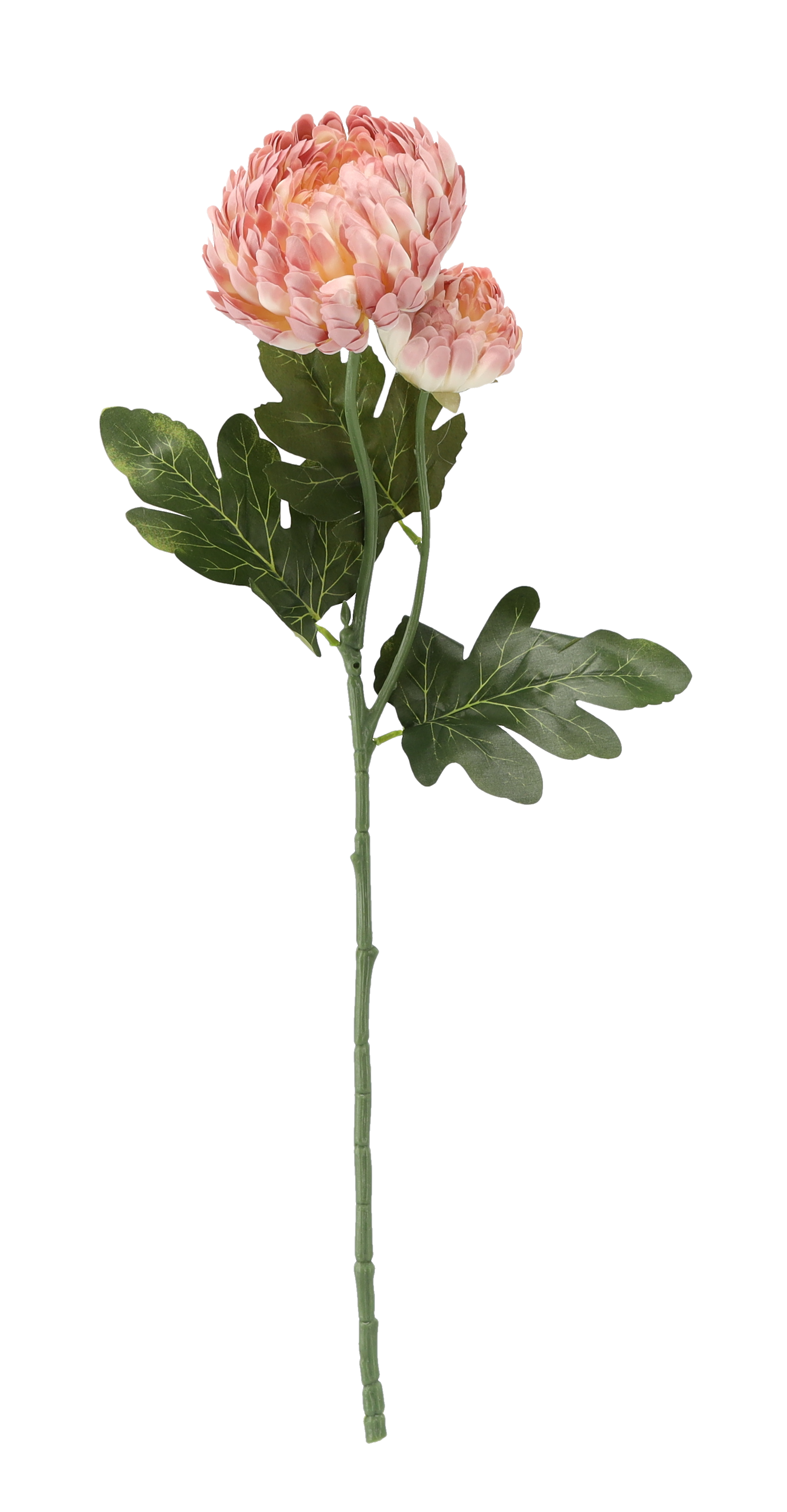 Chryzantéma ružová 64 cm 49625 49625 - obrázok 1