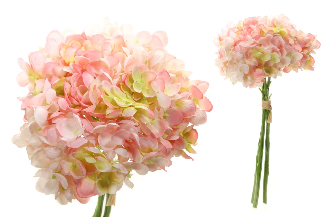 Hortenzia kytica marhulková 35 cm 31480 - obrázok 1