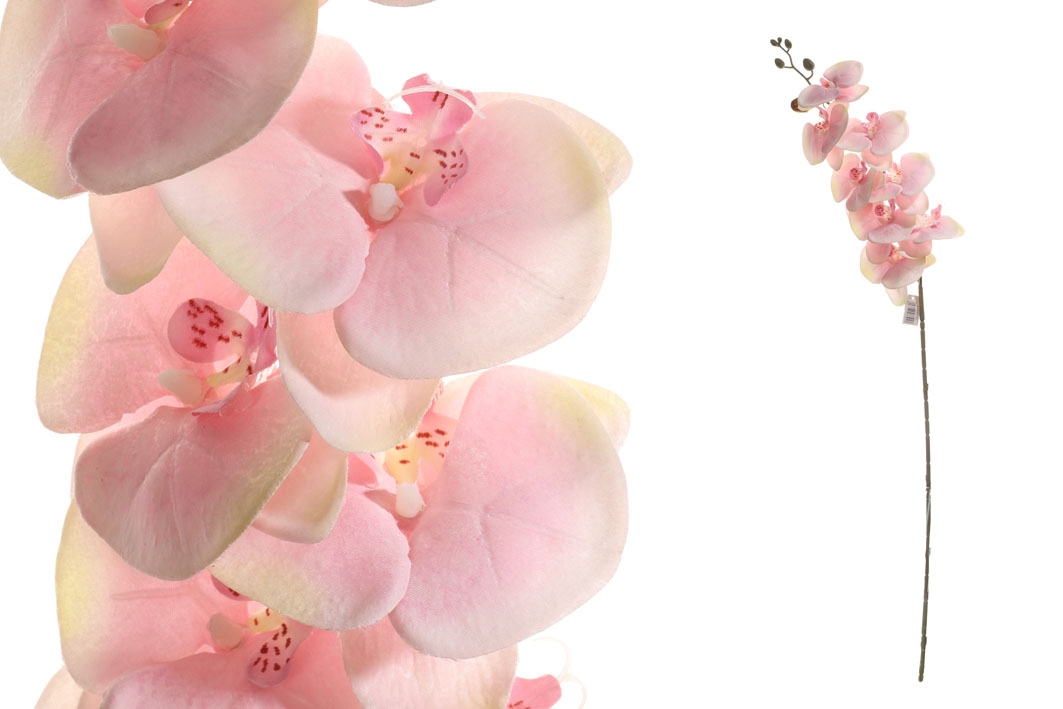 Svetloružové kvietky orchidei na dlhej zelenej stonke 92 cm 33798 - obrázok 1