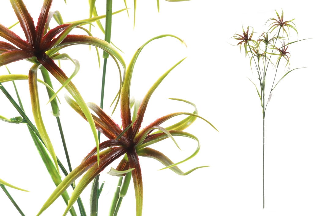 Umelá dekorácia zelených ozdobných vetvičiek - cyperus papyrus na stonke 76 cm 38468 - obrázok 1